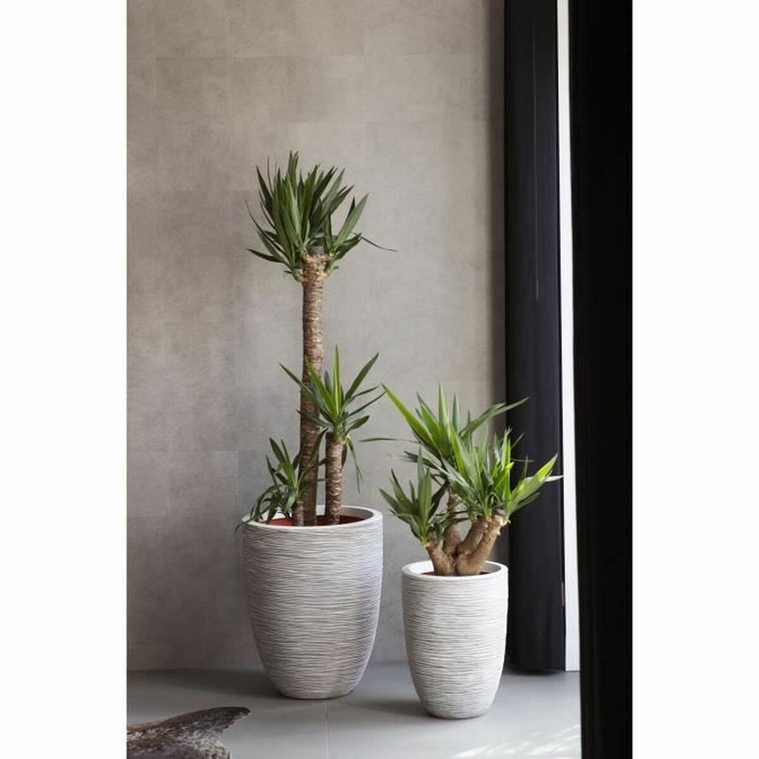 Capi Europe Grondlegger Capi Europe Ivoor Plastic Cirkelvormig