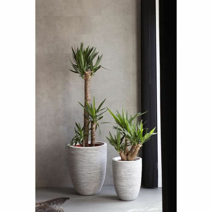 Capi Europe Grondlegger Capi Europe Ivoor Plastic Cirkelvormig