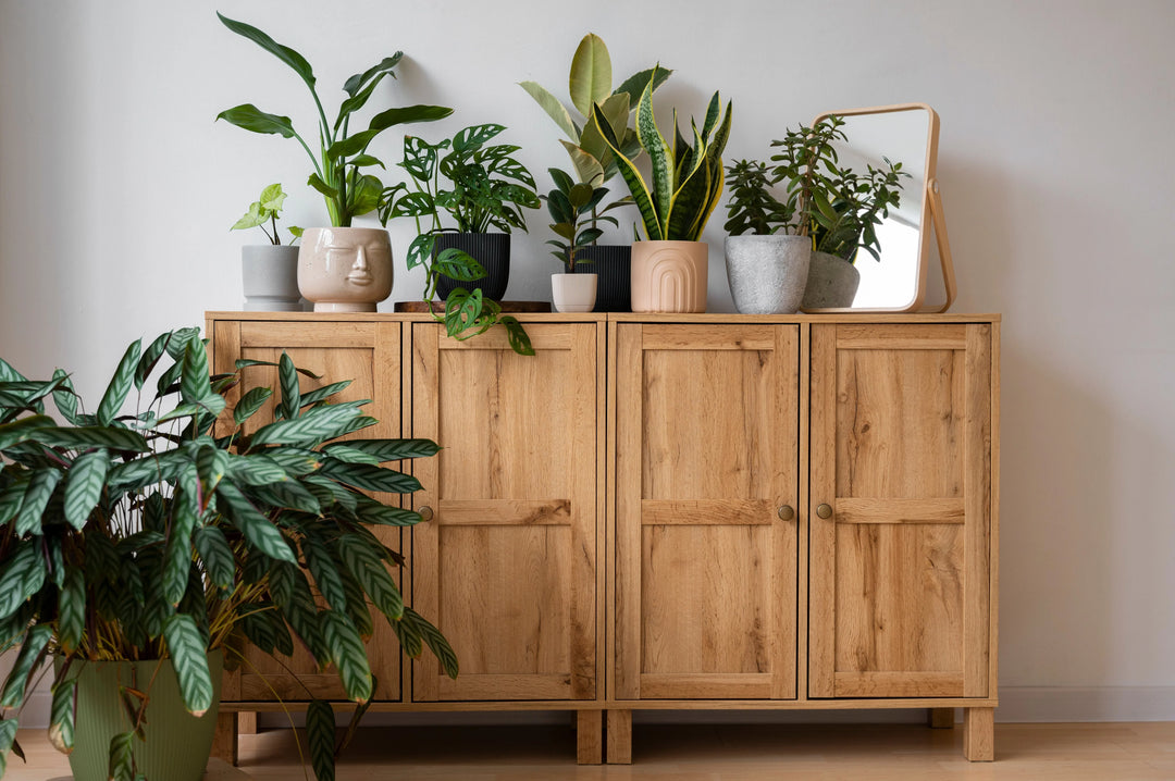 Alle kasten | Hier vind je een uitgebreid aanbod met de leukste kasten voor jouw woonkamer!