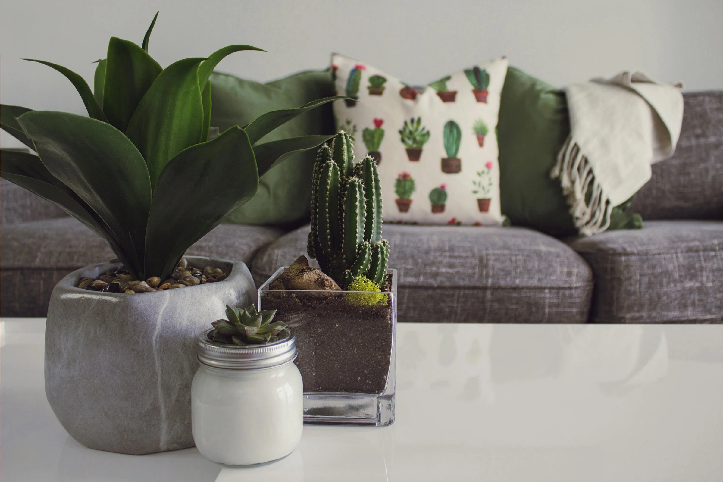 Op zoek naar leuke decoratie voor je interieur? Vindt hier alles om je interieur mee aan te vullen.