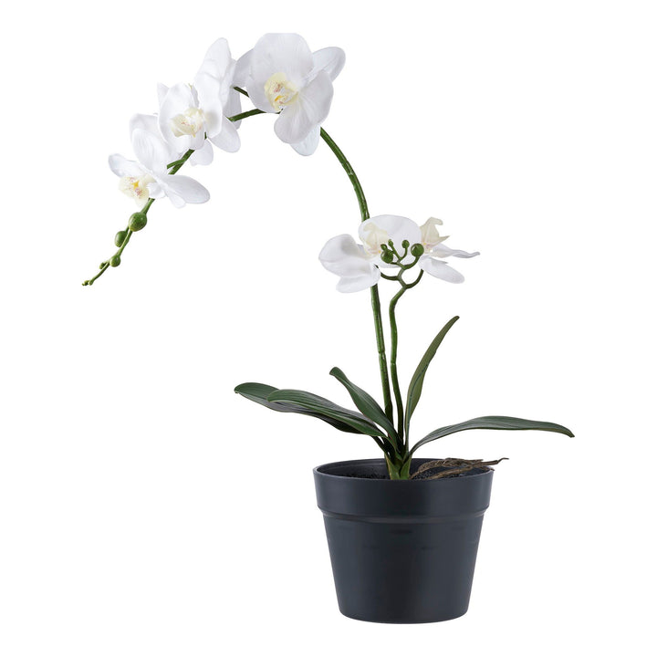 Kunstplant Orchidee | 49 cm hoog