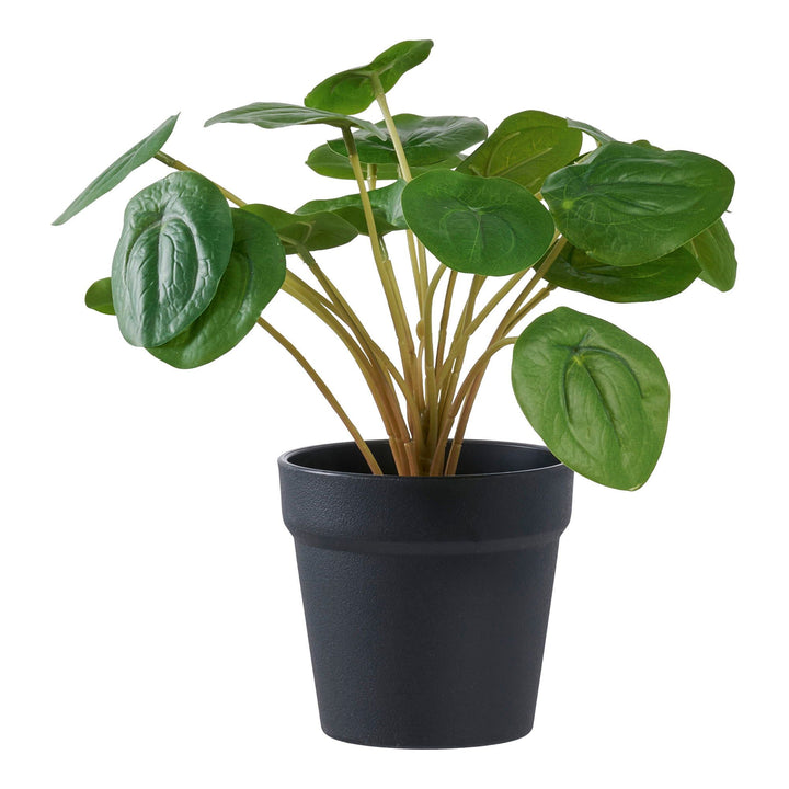 Kunstplant Pelia | 28 cm hoog