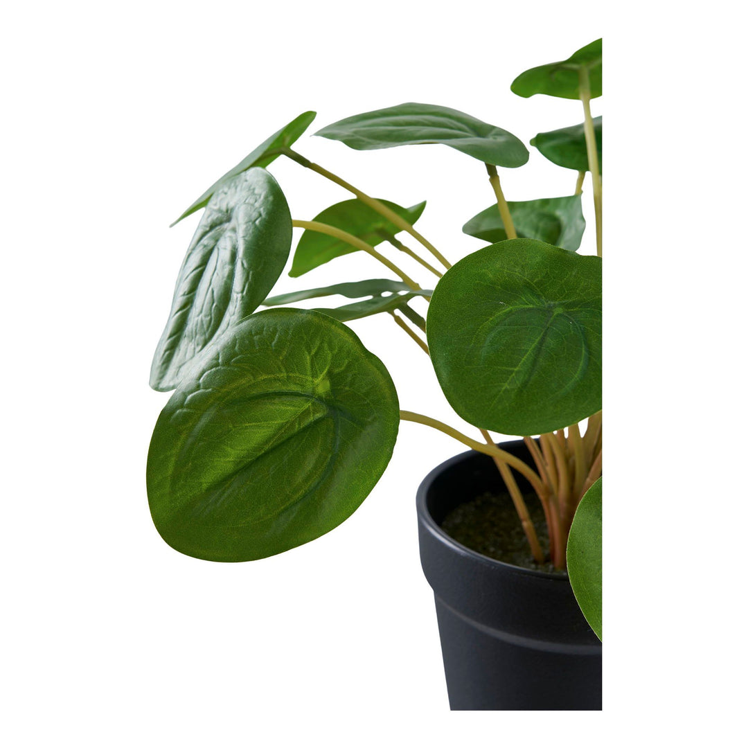Kunstplant Pelia | 28 cm hoog