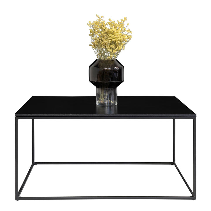 Salontafel Vita | Volledig zwart | Industrieel | Modern