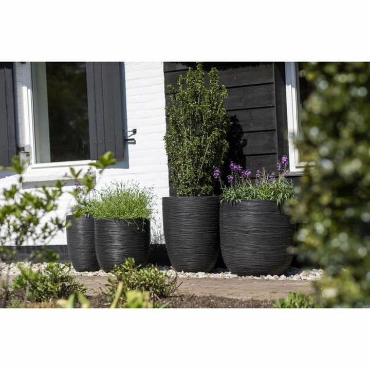 Capi Europe Grondlegger Capi Europe Nature Rib Zwart Plastic